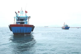 Ảnh chỉ có tính minh họa. (Ảnh: Võ Dung/TTXVN)