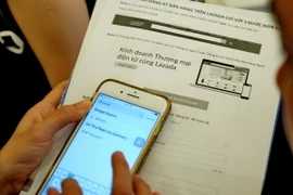 Ảnh chỉ có tính minh họa. (Ảnh: Thế Anh/TTXVN)