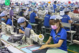Ảnh chỉ có tính minh họa. (Ảnh: Hải Âu/TTXVN)