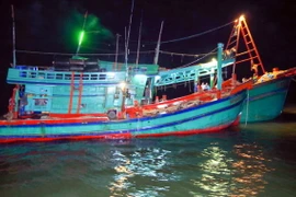 Ảnh chỉ có tính minh họa. (Ảnh: Trung Hiếu/TTXVN)