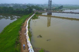 Các cơ quan chức năng đã tiến hành be bờ để ứng phó với mực nước sông Bùi đã lên cao gần 7,5m. (Ảnh: Thành Đạt/TTXVN)