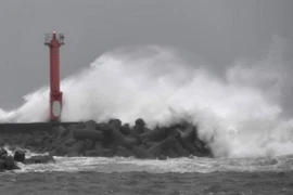 Sóng biển dâng cao khi bão Jongdari đổ bộ vào vùng biển tỉnh Chiba, Nhật Bản. (Nguồn: Kyodo/TTXVN)