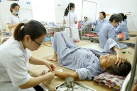 Ảnh chỉ có tính minh họa. (Ảnh: Dương Ngọc/TTXVN)