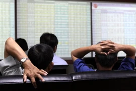 Nhà đầu tư theo dõi diễn biến các chỉ số tại sàn giao dịch chứng khoán Rồng Việt (Thành phố Hồ Chí Minh). (Ảnh: Phạm Hậu/TTXVN)