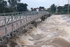 Ảnh chỉ có tính minh họa. (Ảnh: Nguyễn Thanh/TTXVN)