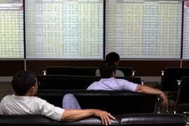 Nhà đầu tư theo dõi diễn biến các chỉ số tại sàn giao dịch chứng khoán Rồng Việt (Thành phố Hồ Chí Minh). (Ảnh : Phạm Hậu/TTXVN)