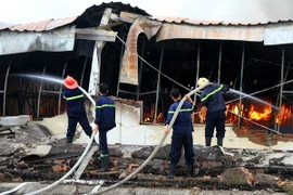 Ảnh chỉ có tính minh họa. (Ảnh: Trung Kiên/TTXVN)