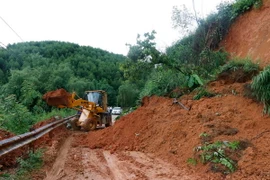 Ảnh chỉ có tính minh họa. (Ảnh: Việt Dũng/TTXVN)