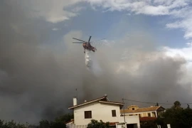 Trực thăng phun nước dập lửa cháy rừng tại Penteli, ngoại ô Athens, Hy Lạp. (Nguồn: EPA-EFE/TTXVN)