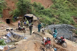 Ảnh chỉ có tính minh họa. (Ảnh: Nguyễn Dũng/TTXVN)