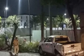 Ảnh chỉ có tính minh họa. (Ảnh: Thành Chung/TTXVN)