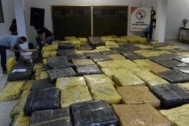 Cảnh sát Paraguay trưng bày số cần sa thu giữ trong các chiến dịch truy quét tội phạm ma túy ở Guayaibi. (Nguồn: AFP/TTXVN)