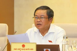 Phó Chủ tịch Quốc hội Đỗ Bá Tỵ phát biểu ý kiến. (Ảnh: Doãn Tấn/TTXVN)