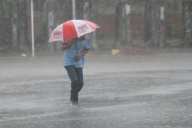 Bangladesh bị ảnh hưởng bởi bão Bulbul. (Nguồn: AFP)