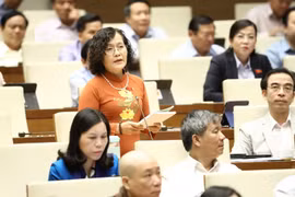 Đại biểu Quốc hội Thành phố Hà Nội Trần Thị Quốc Khánh phát biểu. (Ảnh: Văn Điệp/TTXVN)