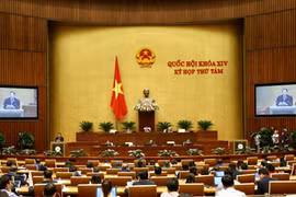 (Ảnh: Dương Giang/TTXVN)
