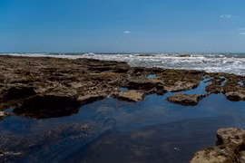 Dầu tràn trên bờ biển Pocas tại Conde, bang Bahia, Brazil, ngày 27/10/2019. (Ảnh: AFP/TTXVN)