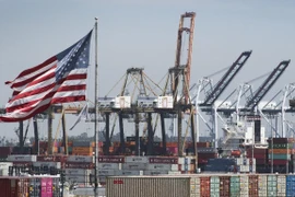 Hàng hóa từ Trung Quốc và các nước châu Á khác chờ bốc dỡ tại Cảng Los Angeles, bang California, Mỹ. (Ảnh: AFP/TTXVN)