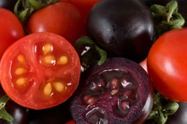 Ảnh minh họa. (Nguồn: windsorstar)