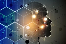 Ảnh minh họa. (Nguồn: arnnet.com.au)