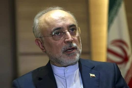 Lãnh đạo Cơ quan Năng lượng nguyên tử Iran Ali Akbar Salehi. (Nguồn: AP)
