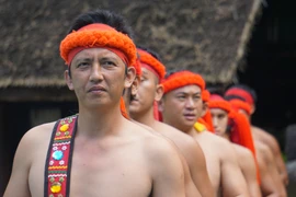 (Ảnh: Trần Long/Vietnam+)