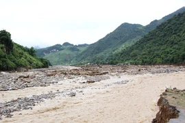 (Ảnh minh họa: Nguyễn Cường/TTXVN)