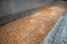 Tiêu hủy trứng tại một trang trại ở Nadrin, Houffalize, Bỉ ngày 10/8. (Nguồn: AFP/TTXVN)