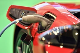 Ảnh minh họa. (Nguồn: AP/TTXVN)