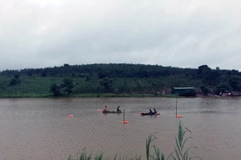 (Ảnh minh họa: Hưng Thịnh/TTXVN)