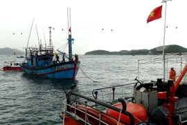 (Ảnh minh họa: Nguyên Lý/TTXVN)