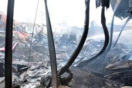 (Ảnh minh họa: Mạnh Linh/TTXVN)