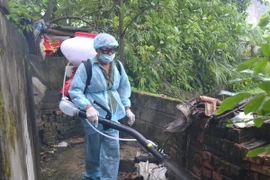 Phun hóa chất phòng chống dịch sốt xuất huyết. (Ảnh: Thu Hoài/TTXVN)