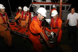 (Ảnh minh họa: Trần Lê Lâm/TTXVN)