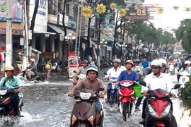 Ảnh minh họa. (Ảnh: Huỳnh Sử/TTXVN)