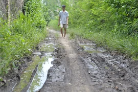 Vùng quy hoạch Sân bay Long Thành. (Ảnh: Công Phong/TTXVN)