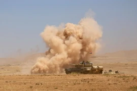 Ảnh minh họa. (Nguồn: AFP/TTXVN)