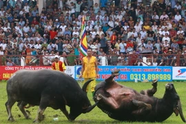 (Ảnh minh họa: Lâm Khánh/TTXVN)
