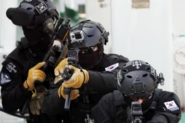 Ảnh minh họa. (Nguồn: Yonhap/TTXVN)