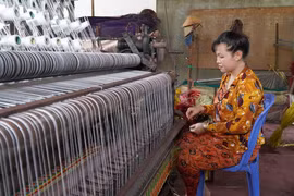 Đồng Tháp: Làng nghề dệt chiếu truyền thống hơn trăm tuổi ở Định Yên