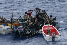 Lực lượng thực thi pháp luật bắt giữ một toán cướp biển. (Ảnh tư liệu: TTXVN phát)
