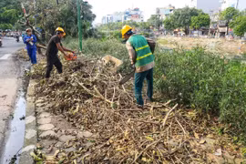 Thu dọn, cắt tỉa cây xanh trên đường Kim Giang, quận Thanh Xuân. (Ảnh: Tuấn Anh/ TTXVN)