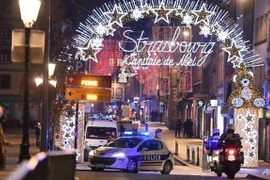 Ảnh minh họa (Nguồn: AFP/TTXVN)