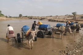 Người dân múc nước sông để sinh hoạt tại Gode, Ethiopia, ngày 8/4/2022. (Ảnh minh họa: AFP/TTXVN) 