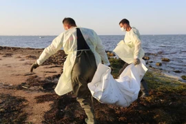 (Tư liệu) Lực lượng cứu hộ chuyển thi thể người di cư. (Ảnh: AFP/TTXVN)