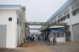 Công ty Trách nhiệm Hữu hạn Vega Balls. (Nguồn: Báo Thanh Niên)