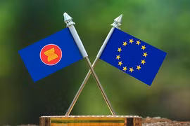 (Nguồn: aseanbriefing.com) 