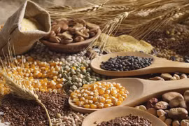 Ảnh minh họa. (Nguồn: world-grain.com) 