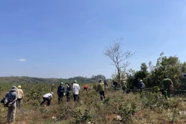 Đắk Nông cưỡng chế thu hồi đất tại cụm công nghiệp Quảng Tâm