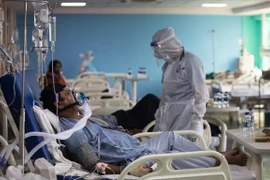 Ảnh minh họa (Nguồn: AFP/TTXVN)